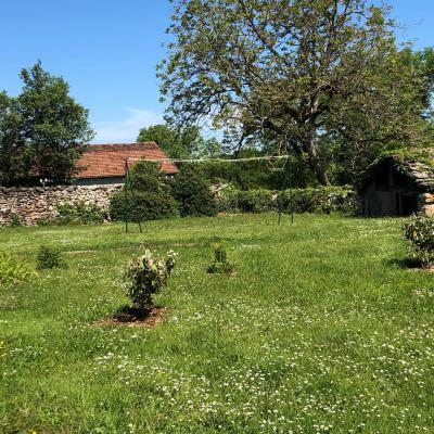 Jardin Arrière