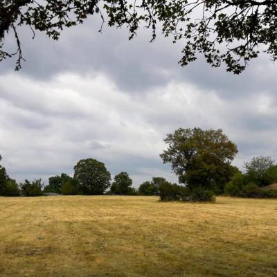 Prairie