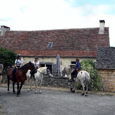Chevaux