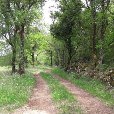 Sentier Champêtre