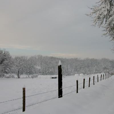 Neige Beaupendu